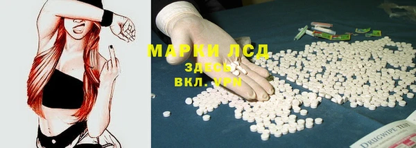 спиды Алзамай