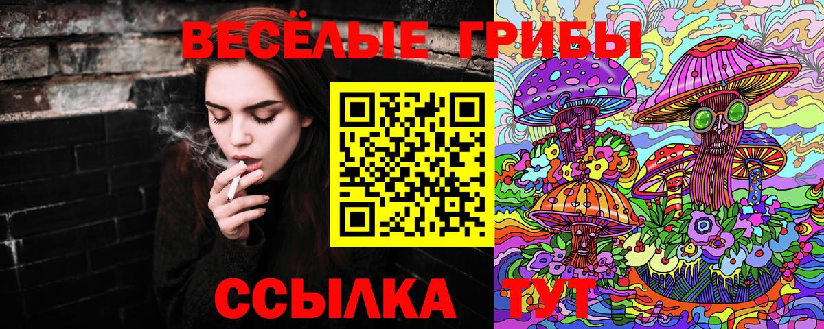 Магадан  Галлюциногенные грибы Magic Shrooms  где купить   Галлюциногенные грибы мухоморы  Вход с VPN 