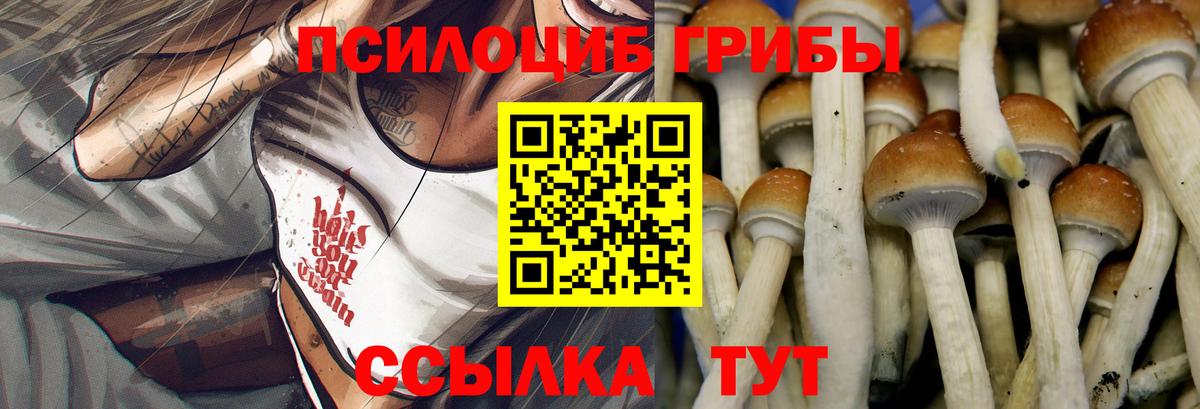 Псилоцибиновые грибы прущие грибы Магадан