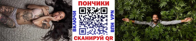 Бошки Шишки планчик  mega онион  Магадан 
